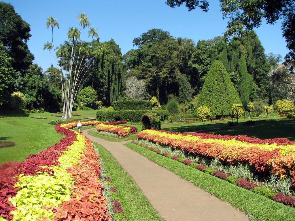 Kandy View Villa Εξωτερικό φωτογραφία